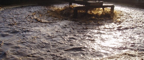 La nanotecnología en el tratamiento de aguas