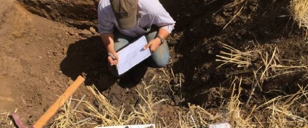 Inicio de la ciencia y análisis de suelos