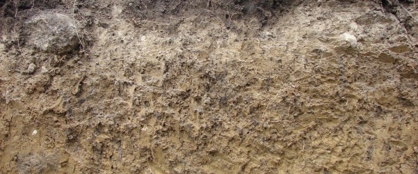 Definición del suelo y los horizontes