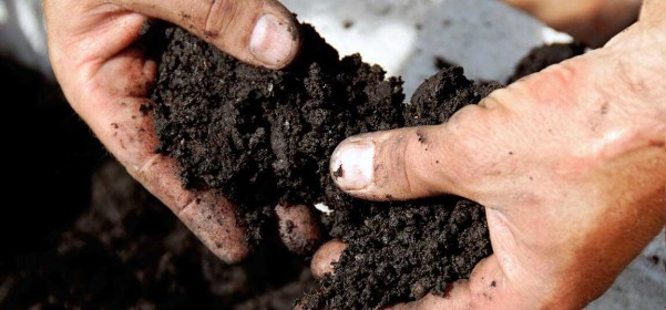 Relaciones catiónicas y su interpretación en los análisis de suelos