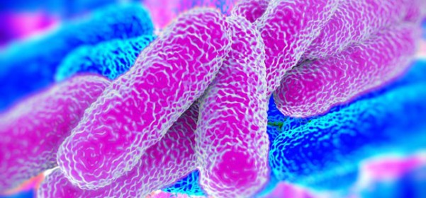 Legionella y cambio climático. Su relación con el aumento de temperaturas.