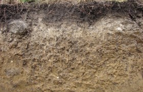 Definición del suelo y los horizontes