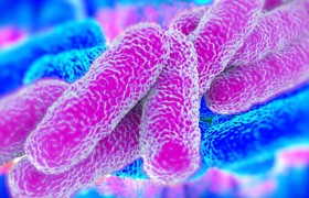 Legionella y cambio climático. Su relación con el aumento de temperaturas.