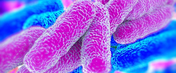 Legionella y cambio climático. Su relación con el aumento de temperaturas.